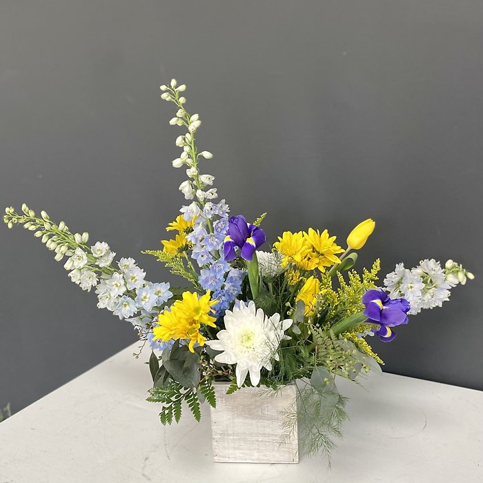 Welcome Spring