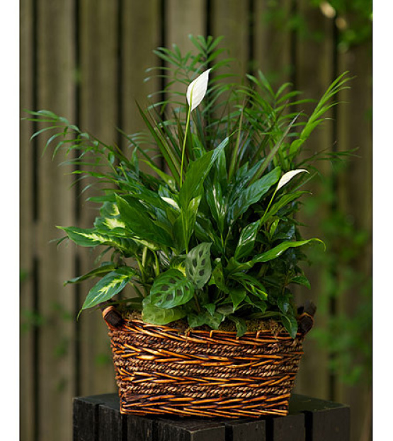 Gardener\'s Delight Planter