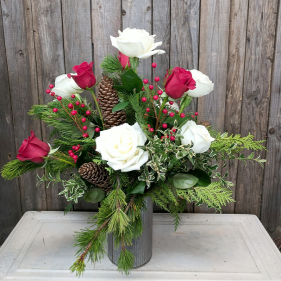 Holiday Roses