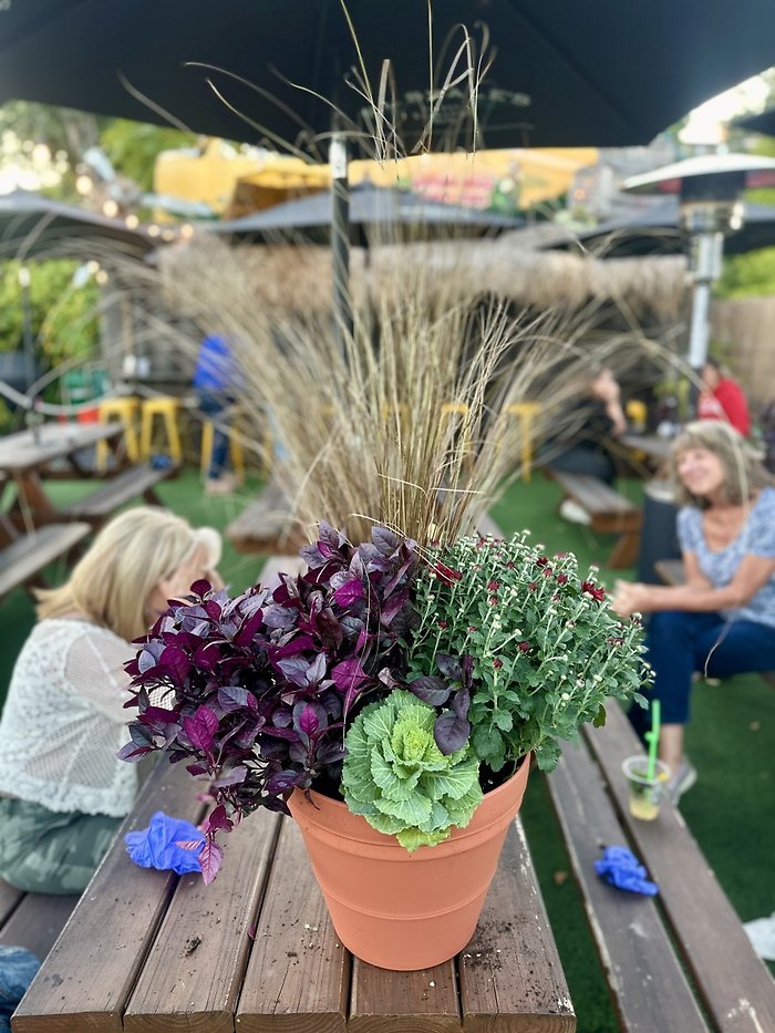 Fall Patio Pot Workshop 9/9 6:30P Tiki Underground