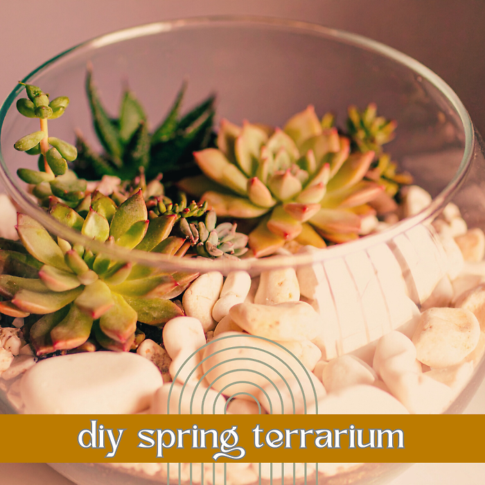 Saturday, Mar. 21, 1:30P KENT