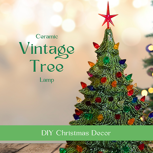 Saturday, Nov. 28th, 11AM KENT