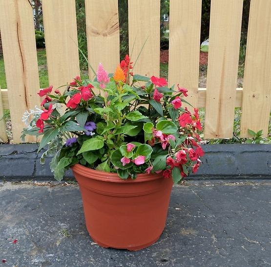 Patio Pot, Large