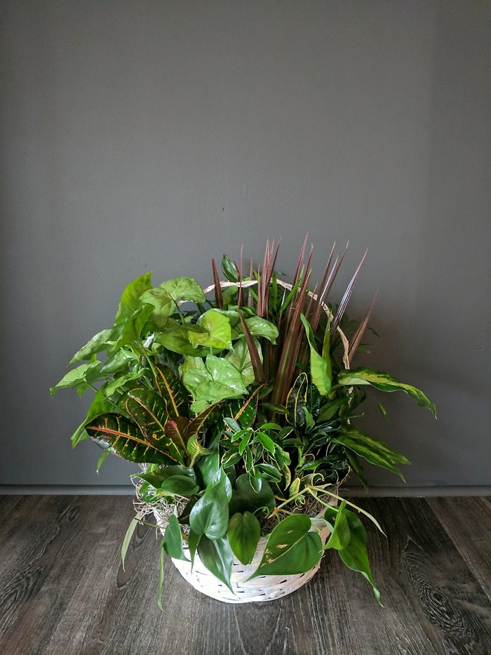 Garden of Hope Planter