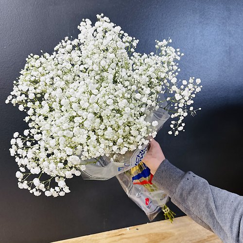babies breath Bunch