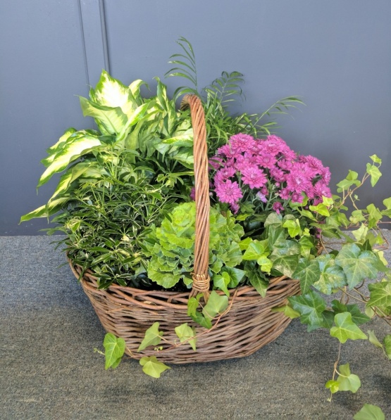 Large European Garden--Seasonal