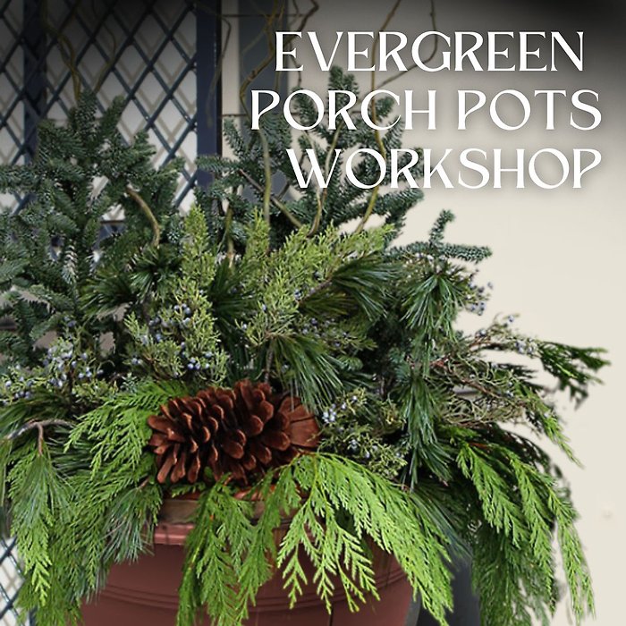 Winter Porch Pot 11/29 11am KENT