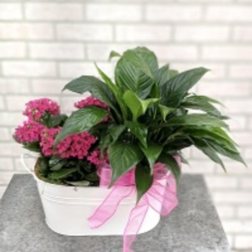 Blooming Buddy