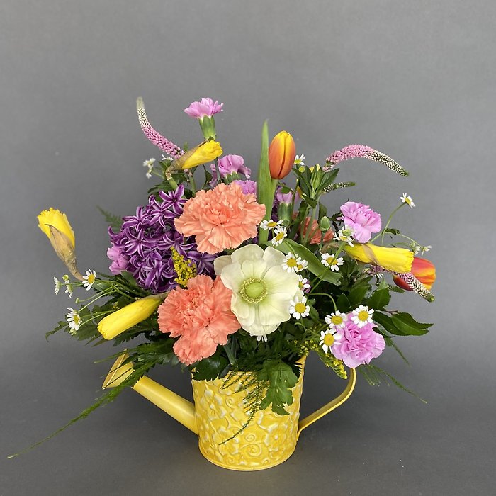 Vibrant Spring
