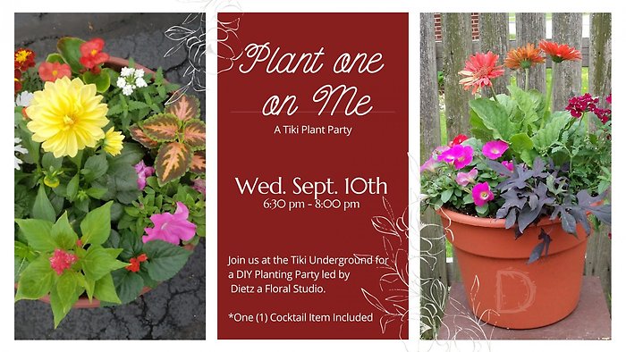 Fall Patio Pot Workshop 9/10 6:30P Tiki Underground