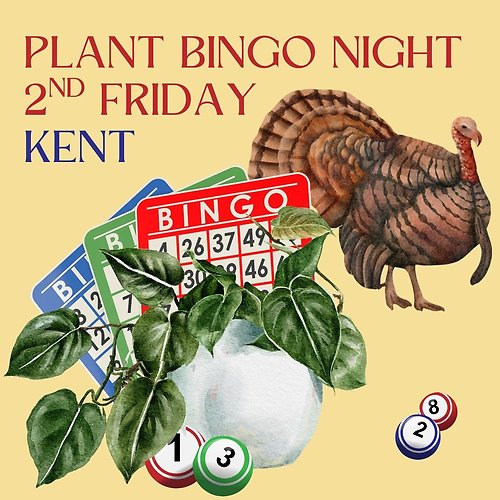 Plant Bingo Thanksgiving 11/13 7pm