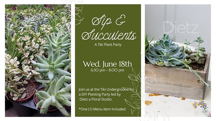 Sips & Succulents 6/18 @6:30p Tiki Underground