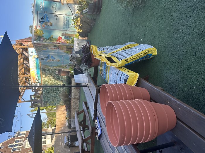 Fall Patio Pot Workshop 9/9 6:30P Tiki Underground