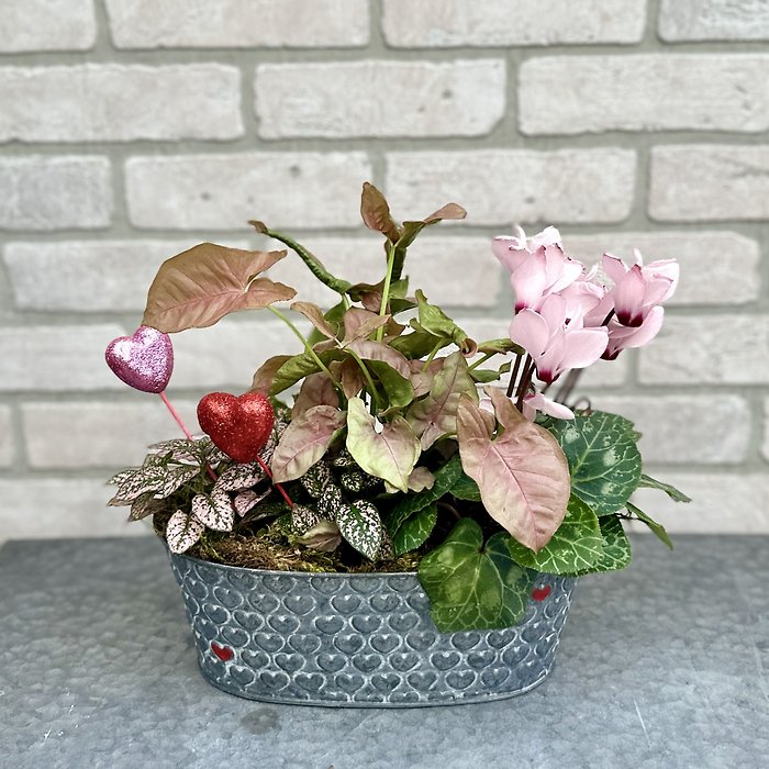 Lets Grow Together Planter