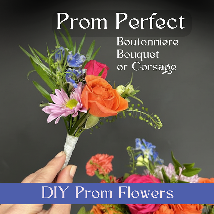 Friday, April 24th, 6P