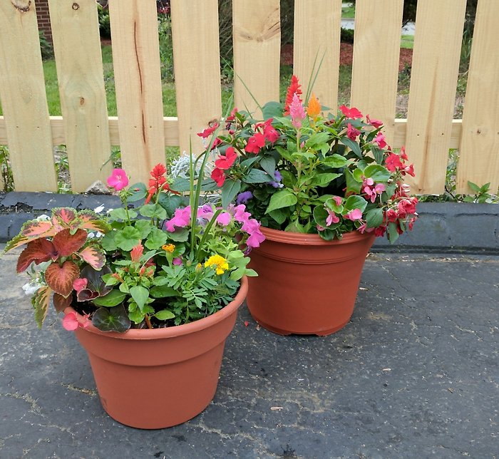 Small Patio Pot Pair