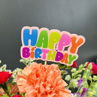 Happy Birthday pick